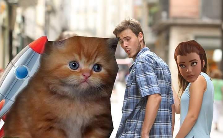 OscarINTEL's tweet photo. The real hero we all want: Jetpack Cat https://t.co/BnKdUv4Z93