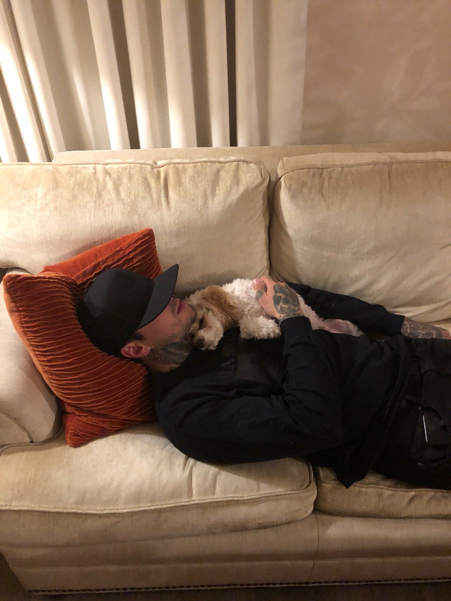 Tony Perry tweet media
