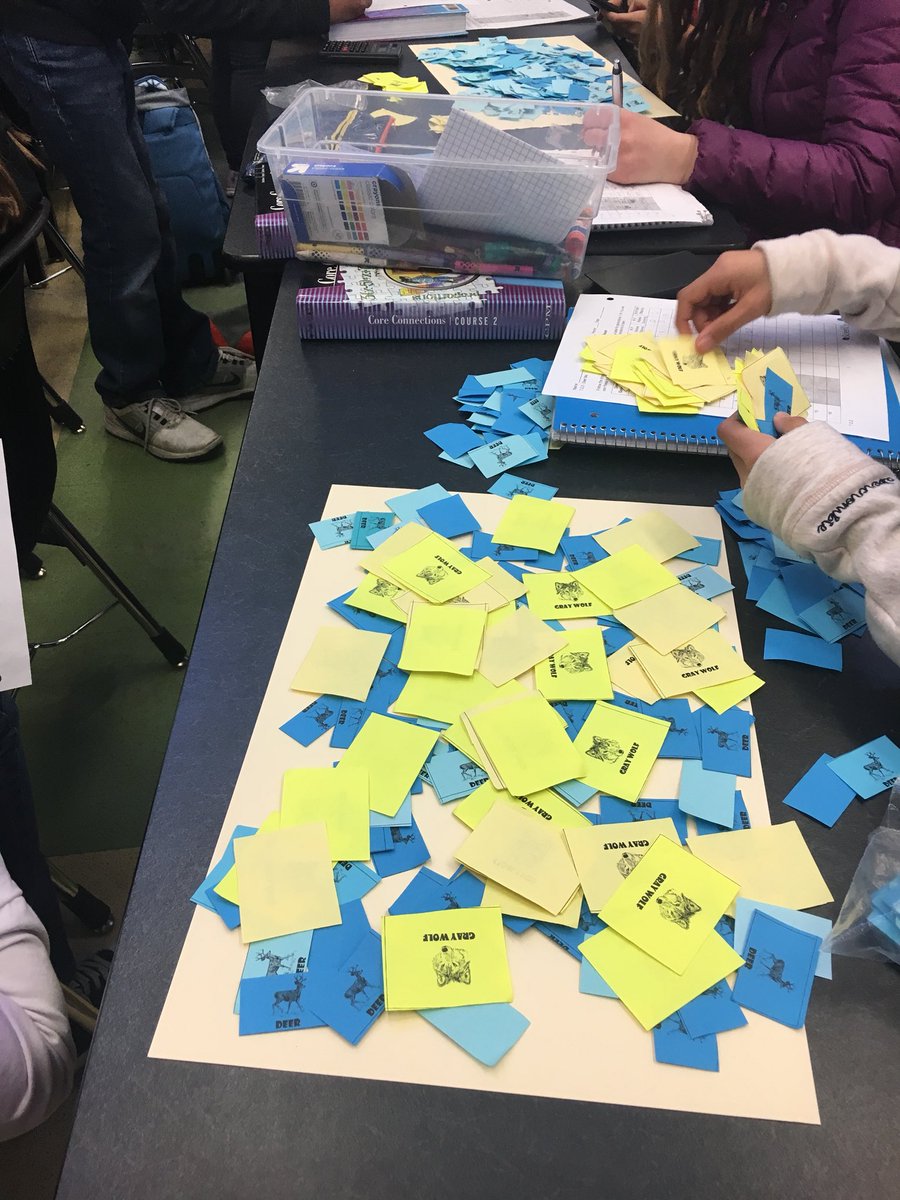 MMSMustangPride's tweet photo. Deer Me! 7th grade students @MMSMustangPride participated in a Simulation Activity!
Essential Question: How do changes in this ecosystem (changes in the environment or species) affect other organisms? #NGSS #ecosystemsimulation #mustangpride #celebrateMoreland https://t.co/1guaxsN5HX