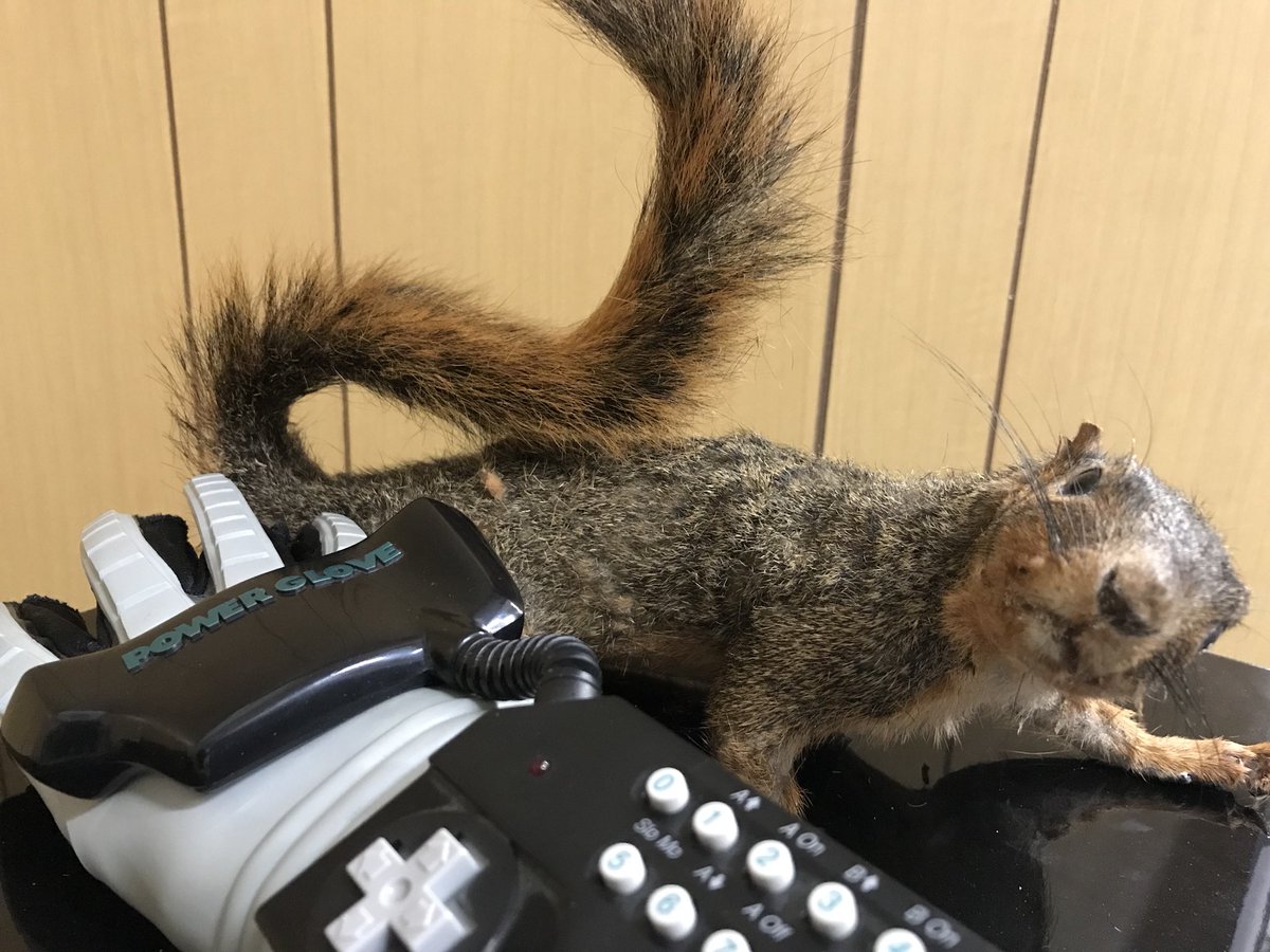 DrewLewis's tweet image. Mr. Squirrel got the high score on Contra using the Power Glove. Well played my furry friend. #newshow #replay #funonset #redbearfilms #gaming