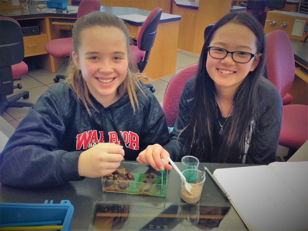 WebberMS's tweet photo. Mrs. Kearns' Environmental Responsibility Ss visited CSU last week. STEM Fridays are grant funded & facilitated by CSU ed faculty & future science teachers. Ss studied "Anchialine Pools" with hands-on models and experiments. #WeAreWebber #PSDproud #WebberScience πΎ https://t.co/9saiGSdm6e
