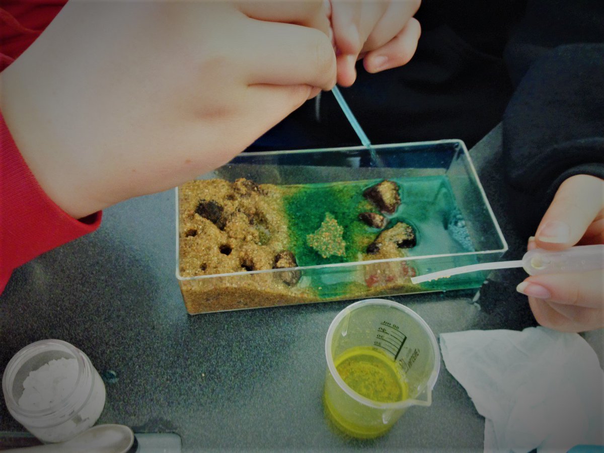 WebberMS's tweet photo. Mrs. Kearns' Environmental Responsibility Ss visited CSU last week. STEM Fridays are grant funded & facilitated by CSU ed faculty & future science teachers. Ss studied "Anchialine Pools" with hands-on models and experiments. #WeAreWebber #PSDproud #WebberScience πΎ https://t.co/9saiGSdm6e