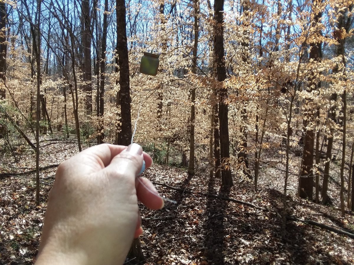 WeAreTheGCGC's tweet photo. Forced perspective making this cache appear miniature as it floats in midair. #geocacher #geocaching #cacheing #charlotte https://t.co/oyNh7nnyER