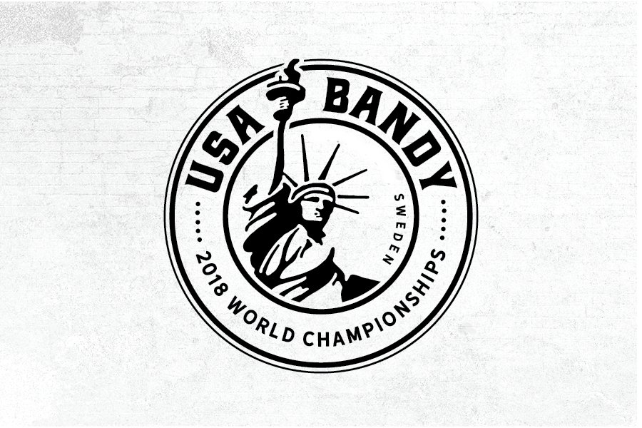 BandyWorldNews's tweet photo. USA kan komma att delta för första gången i ett ungdoms-VM. Detta skulle ske i Söderhamn nästa år där P15-VM avgörs.  5 000 dollar är målet för insamlingen just nu har de 840$. https://t.co/I8kYxFEdVG #USBandy https://t.co/nn8d7C8emy