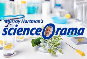 Join Murray Hartman for a day of learning about grower funded canola research products. 

science-O-rama
March 21 in Nisku
albertacanola.com/sor