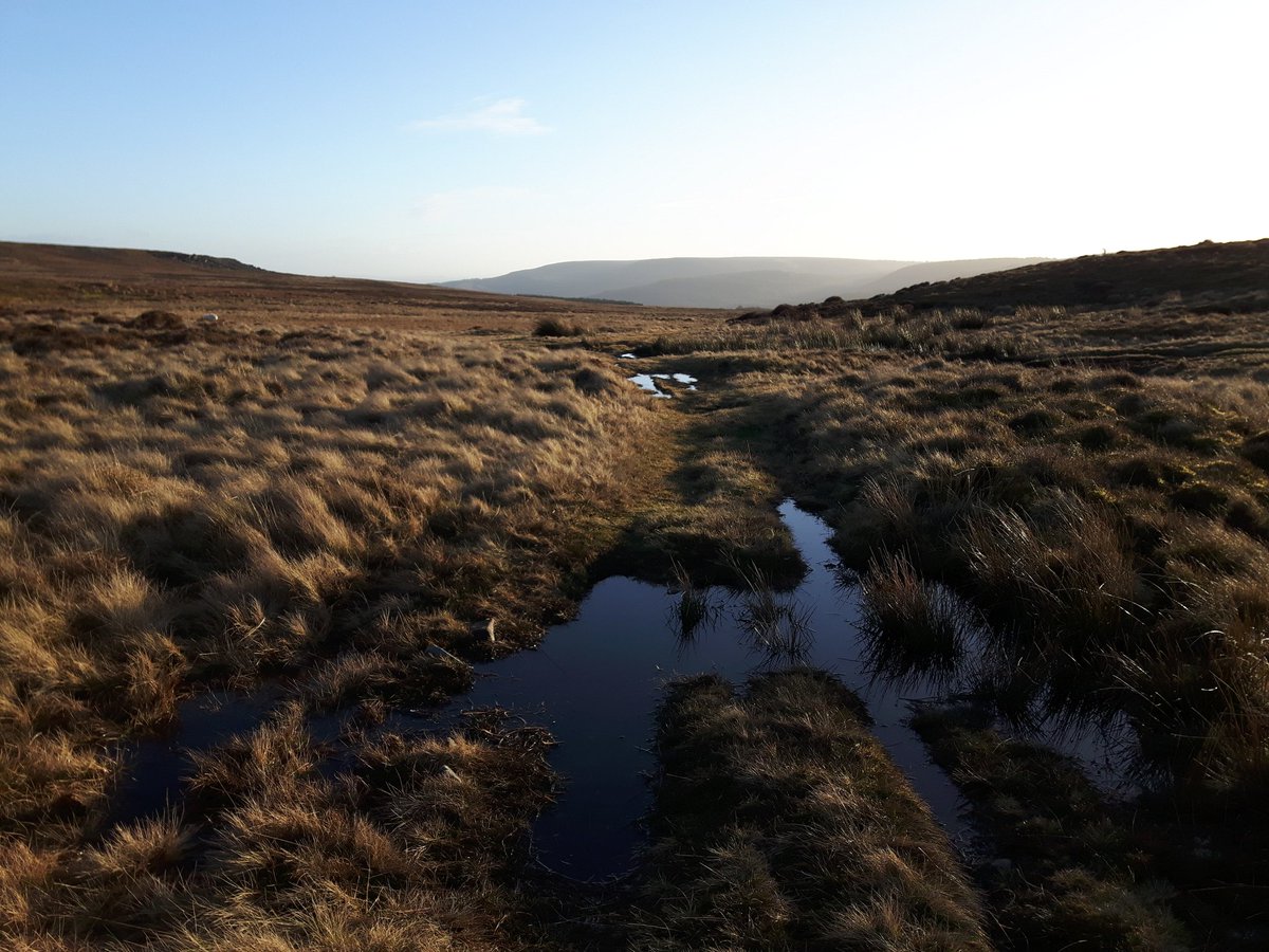 HeadRightOut's tweet photo. Quiet for 2 weeks but wandered up here though on no.7 walk. #Wales #100MappyDays #OSMaps #llanover https://t.co/TGW8DtXwOC