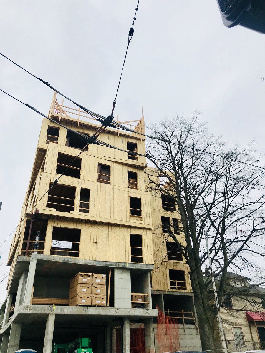 HousingAndParks's tweet image. Brooklyn &amp;amp; 50th, U District, Seattle 
#treeofsignifcance #treepreservation