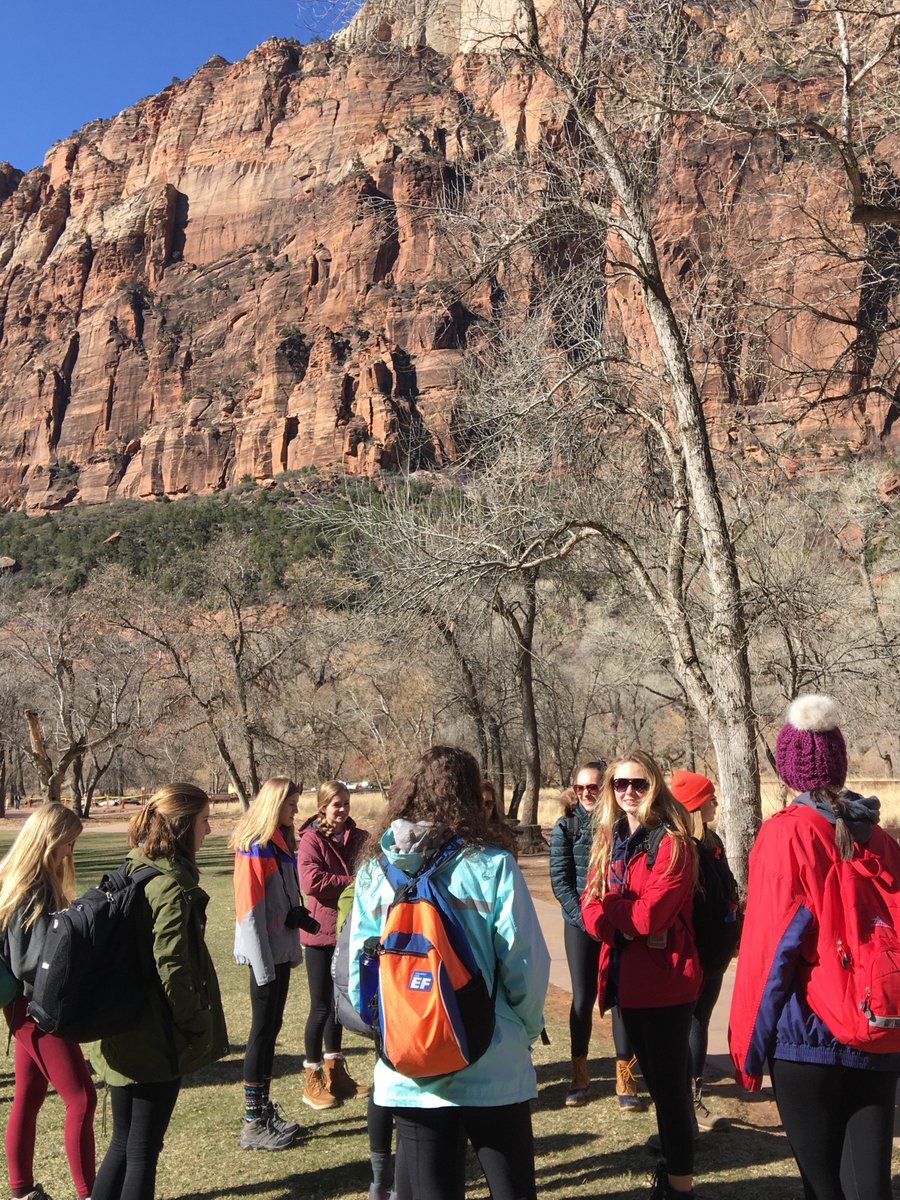 Danielle Heintz tweet media