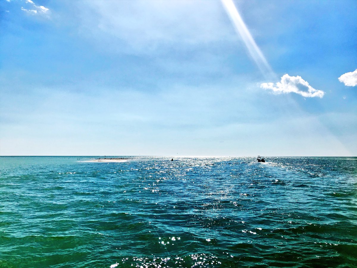 _ccg3's tweet photo. views from the #esterobay eco-cruise today... shoutout to captain george⛴ #bxplive https://t.co/xpMbgJFOCQ