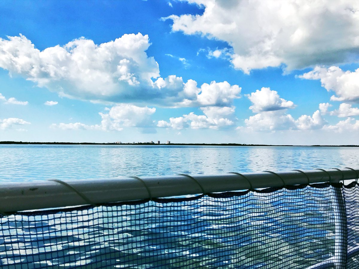 _ccg3's tweet photo. views from the #esterobay eco-cruise today... shoutout to captain george⛴ #bxplive https://t.co/xpMbgJFOCQ