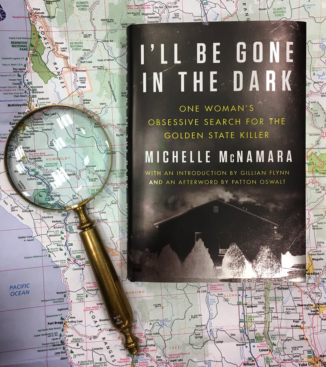 Check out I’LL BE GONE IN THE DARK, a masterful true crime account of the Golden State Killer by Michelle McNamara.  #truecrime #newrelease #bnbuzz #bnfairfax #staffrec