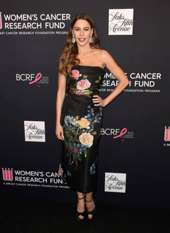 M_Lhuillier's tweet photo. Gorgeous honoree @SofiaVergara in #mlspring18 tonight at WCRF's Unforgettable Evening! 🍃🌸 #moniquelhuillier @wcrfint https://t.co/hI7lxhp2oi