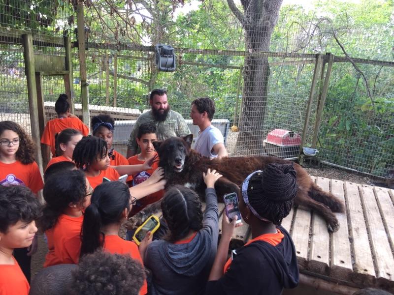RHMSZooMagnet's tweet photo. @RHMSRaiders was excited about their hands-on experience at Safari Edventure.
@MDCPSSouth @zoomiami @miamimagnets 
#animalconservation https://t.co/bqMDUfl4hY