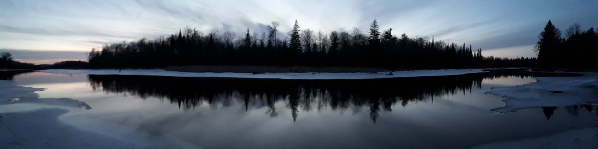 jaynutt50's tweet image. #firstspring