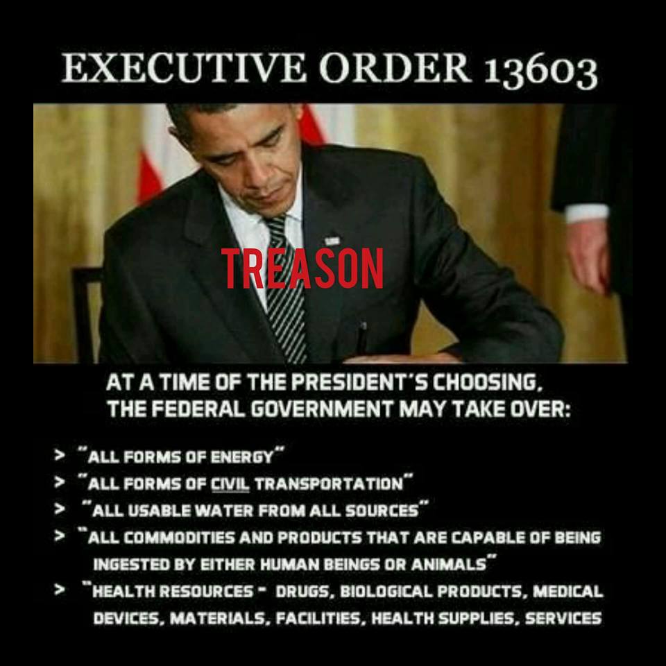 Raypatrick7734's tweet photo. @Storm4SethRich @builditnow @Emma4Change @davidhogg111 Our Judicial system said Trumps ban on 12 countries that are terrorist ridden was unconstitutional. 1st off the constitution is for citizens and people here on Visas. But when @BarackObama wrote executive order 13603 giving the president power to take any and all substance was ok https://t.co/lu1eMTWucd