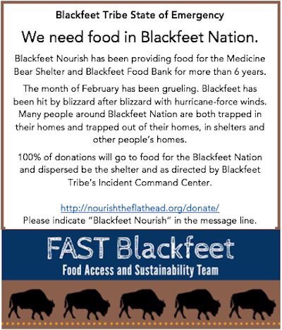 Alicia Lang tweet media