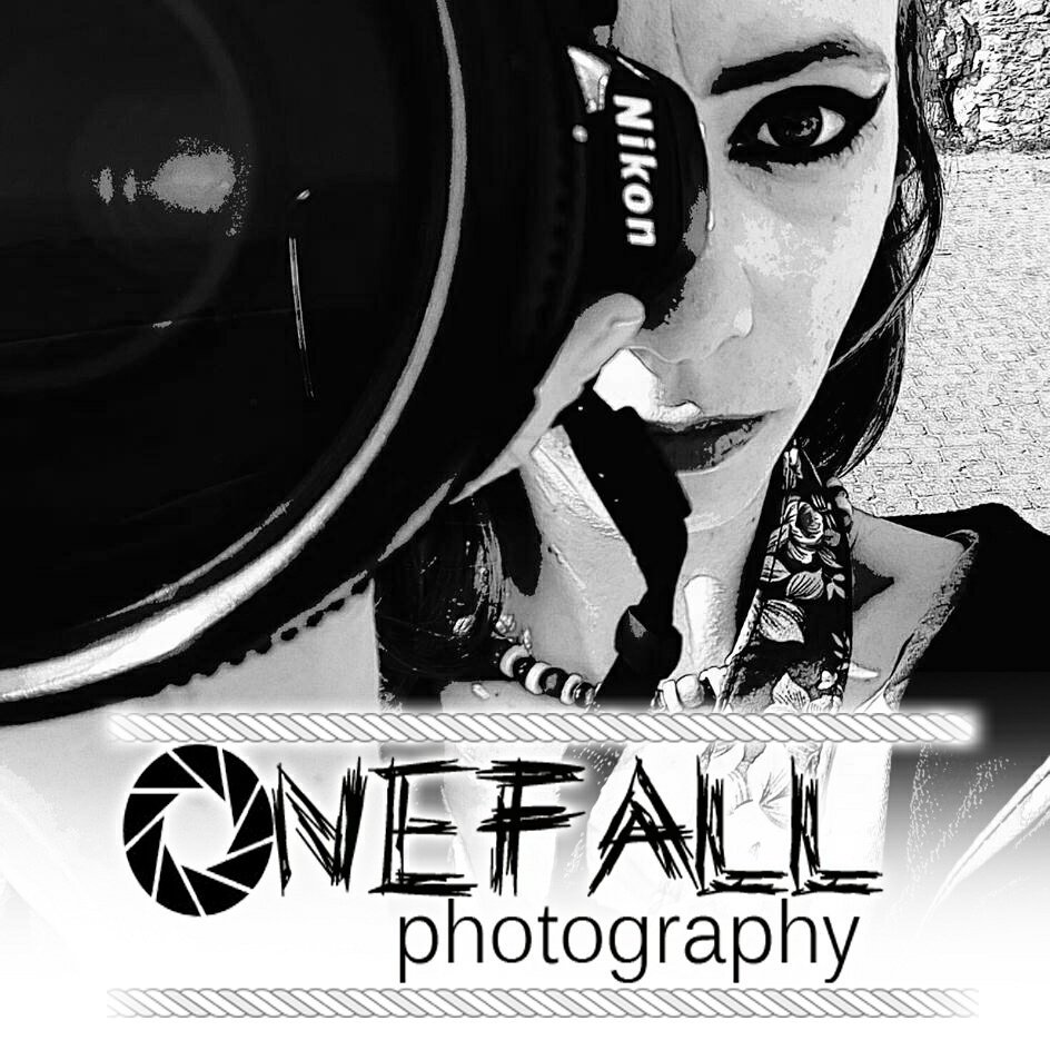 Onefall Photography tweet media