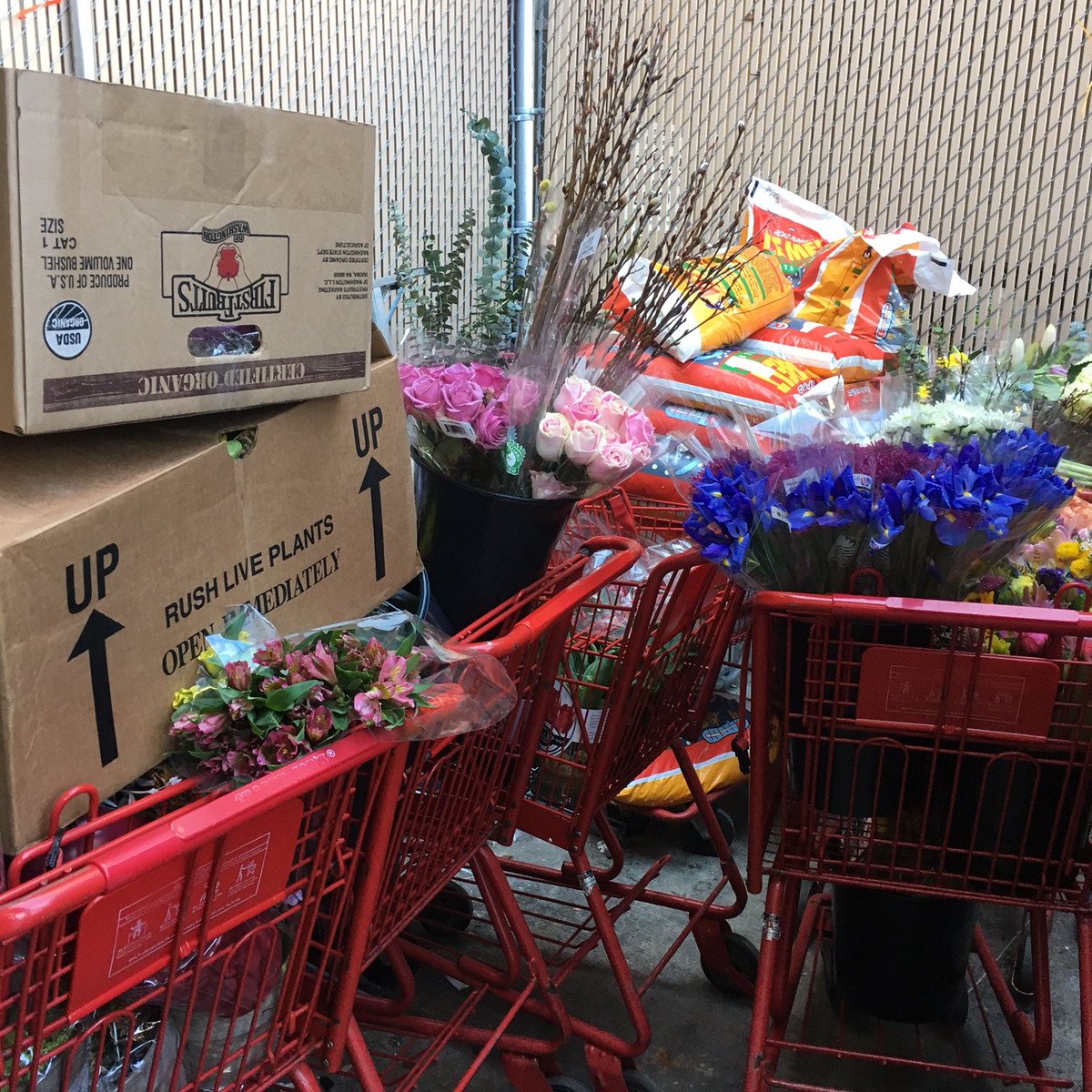 HappyFlowerDay's tweet photo. One hundred and twenty FREE beautiful bouquets were delivered today. Where did all the flowers go? To a senior center, to a busy bus stop in Philadelphia, to a lady with health problems,  to a group of teens whom  I met at a  Dollar Tree store. https://t.co/ThWKXkhCa2