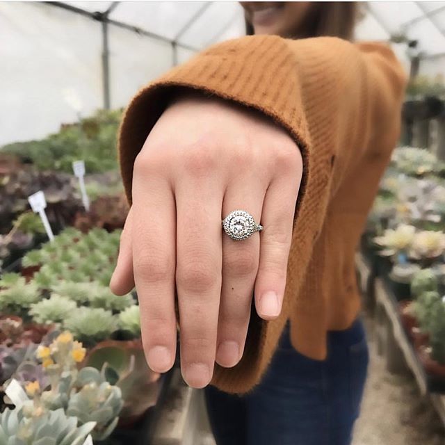 ✨She Said Yes!✨ Time to celebrate, your changing your last name and starting a new journey! @calvinsjewelry 💕 #OliaZavozina ift.tt/2owhgzV