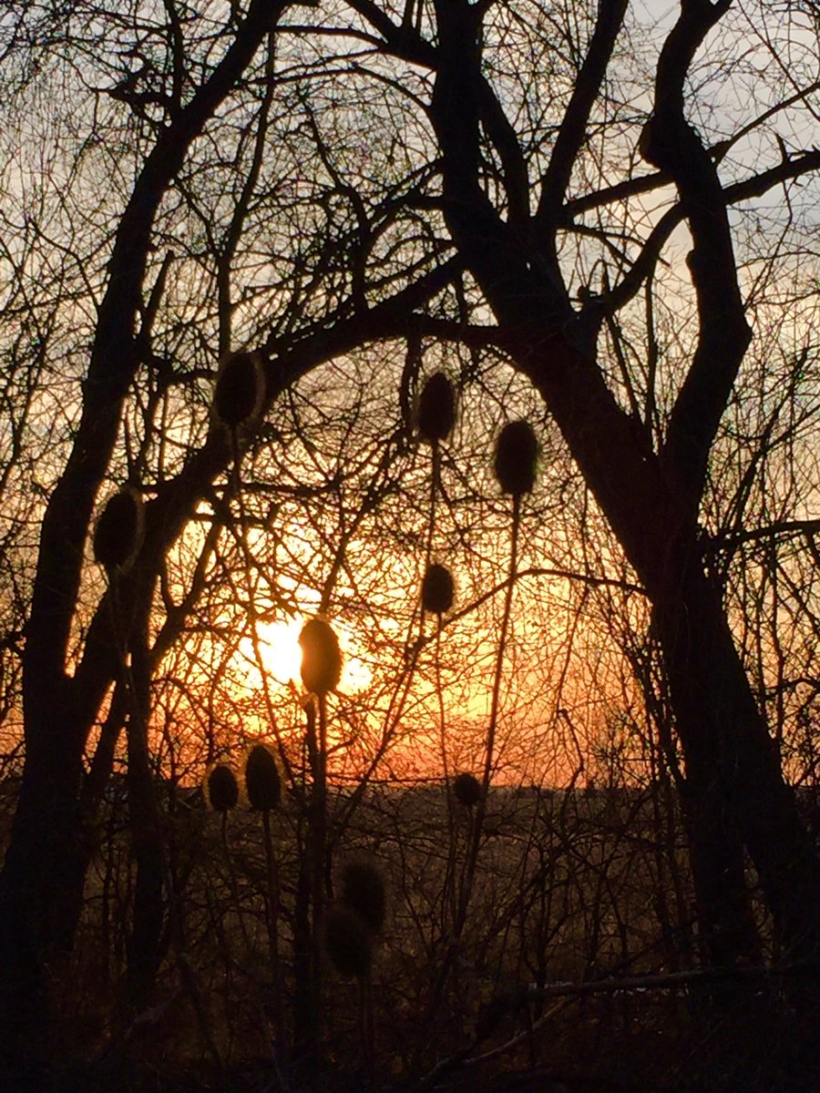 LaguitoGal's tweet image. 1st outdoor run of the year! How can running outdoors be mentally so much easier, but physically so much harder? #SpringMaybe #CountryRunner