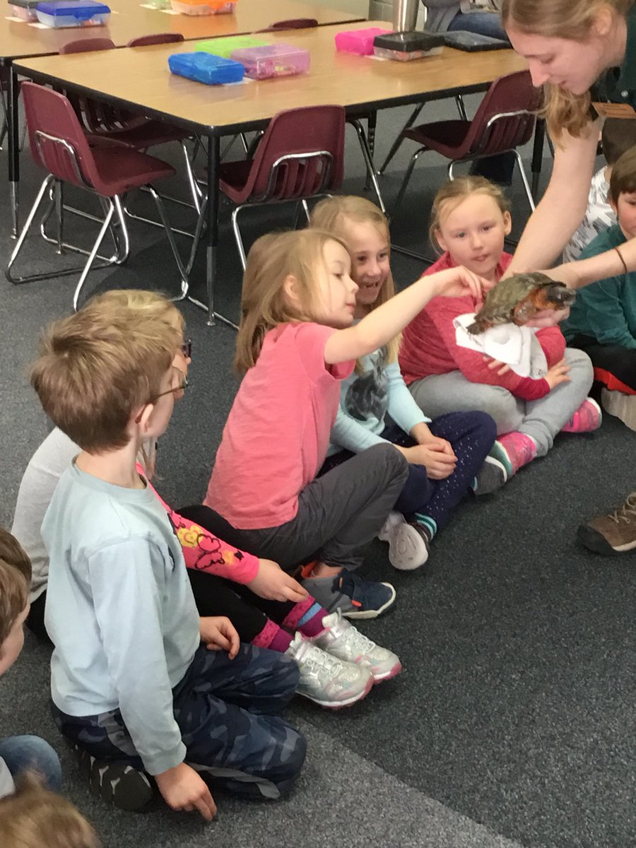 SteMarieIn403's tweet photo. We loved having the @mnzoo come visit us today! We learned about animal adaptations &amp; met an owl, opossum, frog and turtle! https://t.co/ldmz4IgRrC