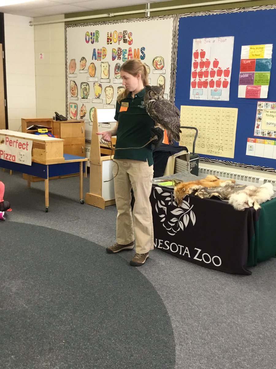 SteMarieIn403's tweet photo. We loved having the @mnzoo come visit us today! We learned about animal adaptations &amp; met an owl, opossum, frog and turtle! https://t.co/ldmz4IgRrC