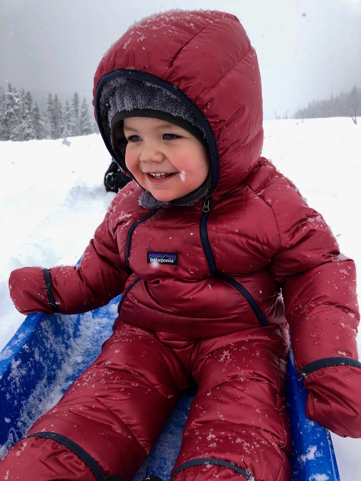 Peter Hakim on X Everett stayed nice and warm in his hi loft down sweater bunting patagonia looking for a new baby model https t hgaBM5tmP9 X