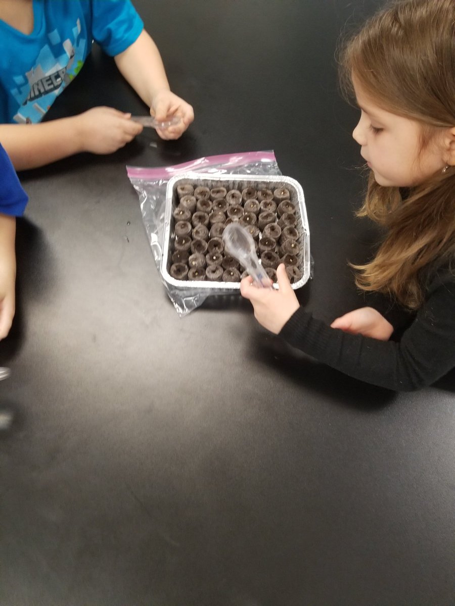 lynn113113's tweet photo. I love being a STEM Agriculture teacher. Investigating how bags improve germination. #STEM #teacher #education https://t.co/HMDEYAg57D