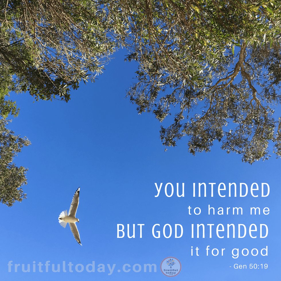 But God Intended it for Good – Joseph’s Story (Gen 50:19) fruitfultoday.com/but-god-intend…