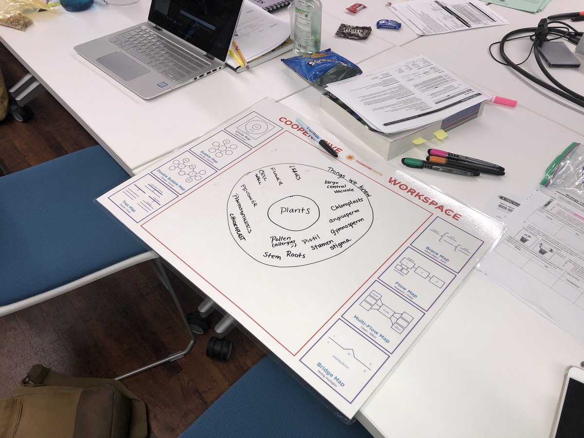 dr_mqiverson's tweet photo. Learning and growing...that’s what makes #RISDGreatness @RISDScience @DR_RC @mshollack94 @Byoteec @ThinkingMaps https://t.co/jo73BfKnkH