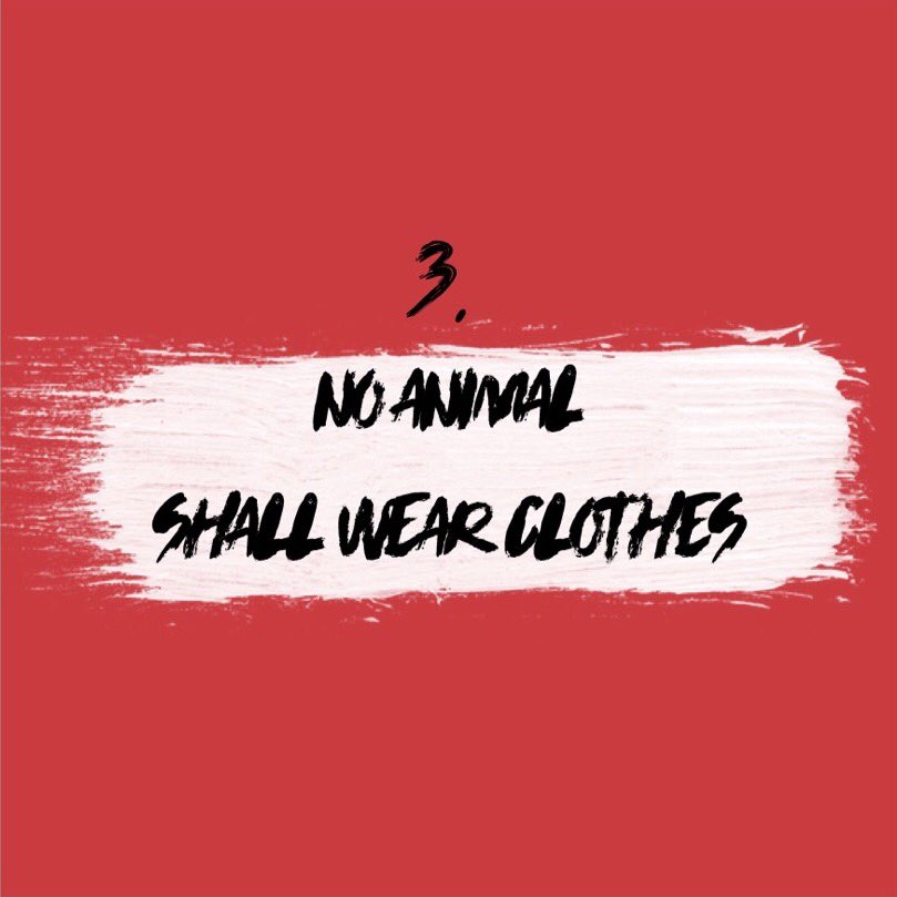sshsAnimalFarm's tweet photo. "'Ribbons,' he said, 'should be considered as clothes, which are the mark of a human being. All animals should go naked.'" Commandment 3. Disclaimer: Nudity will not be tolerated at the performances. https://t.co/WX6SDuTBtv