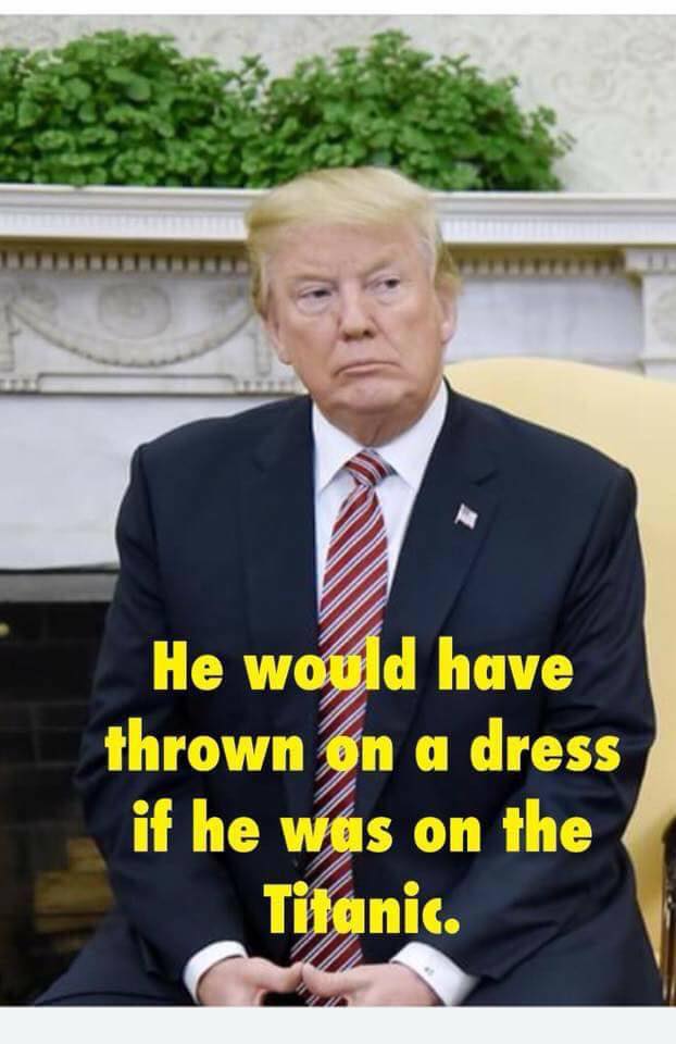 JimmyBear2's tweet photo. EXACTLY! 

#NoArmedTeachers #TrumpIsACoward #NRAWhore #BloodOnYourHands @realDonaldTrump #TrumpMustGo #NeverAgain 

#TheResistance #ResistTrump https://t.co/OUsYtauHwn