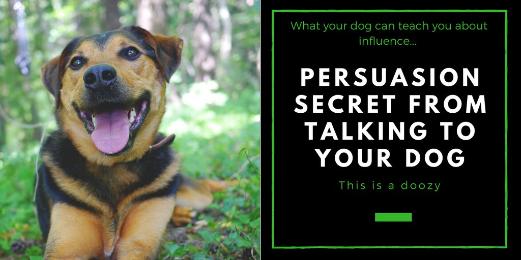 EliteLifeCoach1's tweet photo. Persuasion Secret From Talking To Your Dog? https://t.co/OJSAzUkspm https://t.co/lIpoEJPG4h