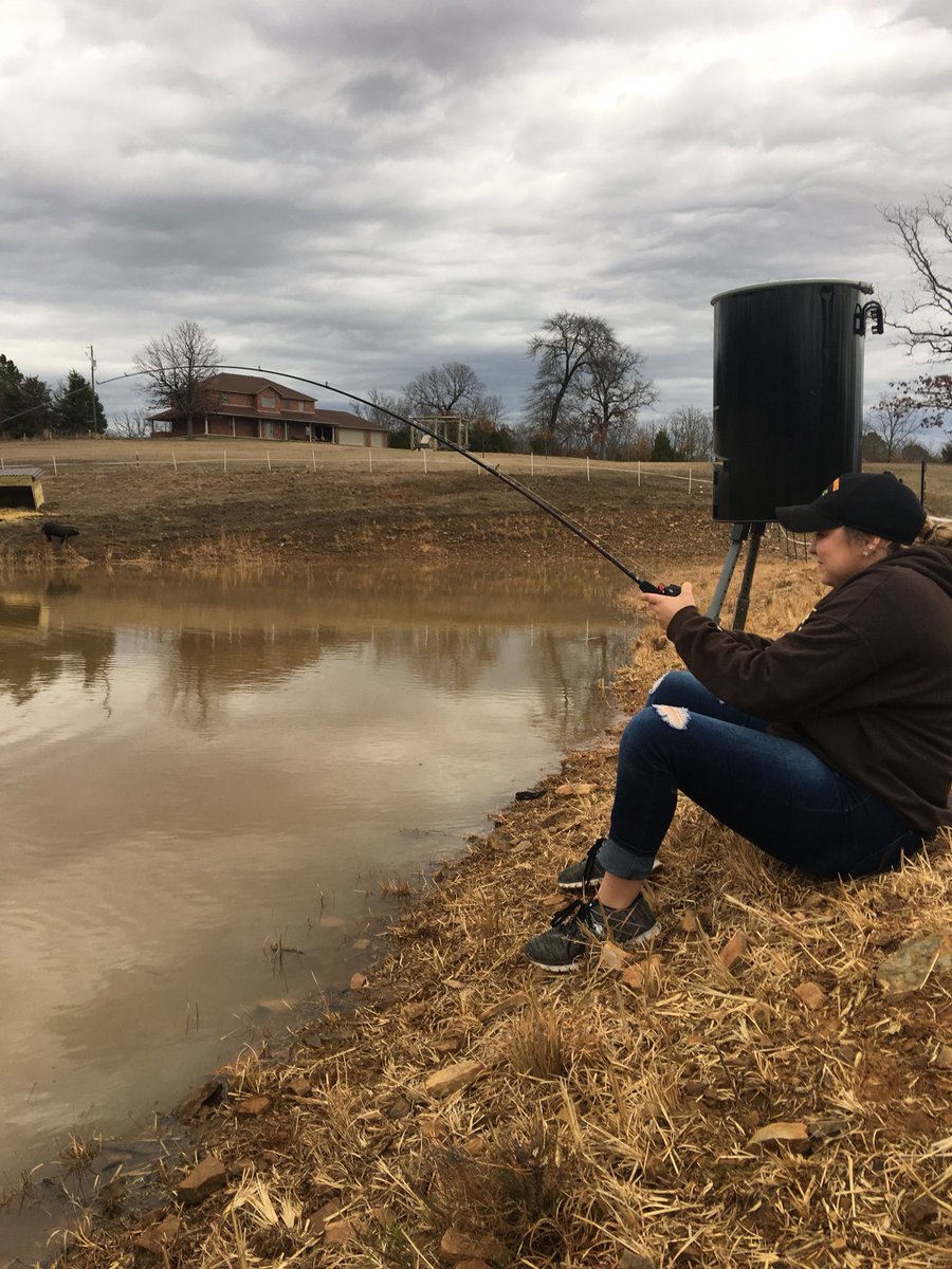 agparham74's tweet photo. Action shot taken by #Bigbob @BobbyJMcCain1  😏😉 #msperryco #bassfishin https://t.co/GnTvSJ2axt