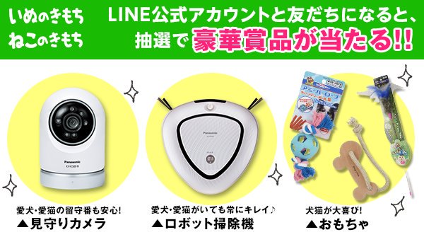 inunekome's tweet image. ＼いぬねこからプレゼント／
このツイートをRTしてさらに@inunekomeをフォローすると、抽選で100名様にAmazonギフト券1000円分が当たる！

LINEアカウントと友だちで豪華賞品も。締切は3/29まで！
⇒ pet.benesse.ne.jp/line/friend_pr…