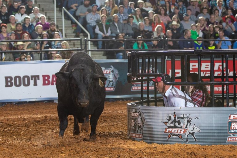 Ready to get up close and personal?  Experience PBR from the Shark Cage! Buy now >> bit.ly/2HMklUJ