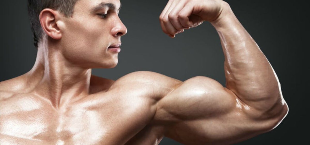 muscleforlife tweet picture