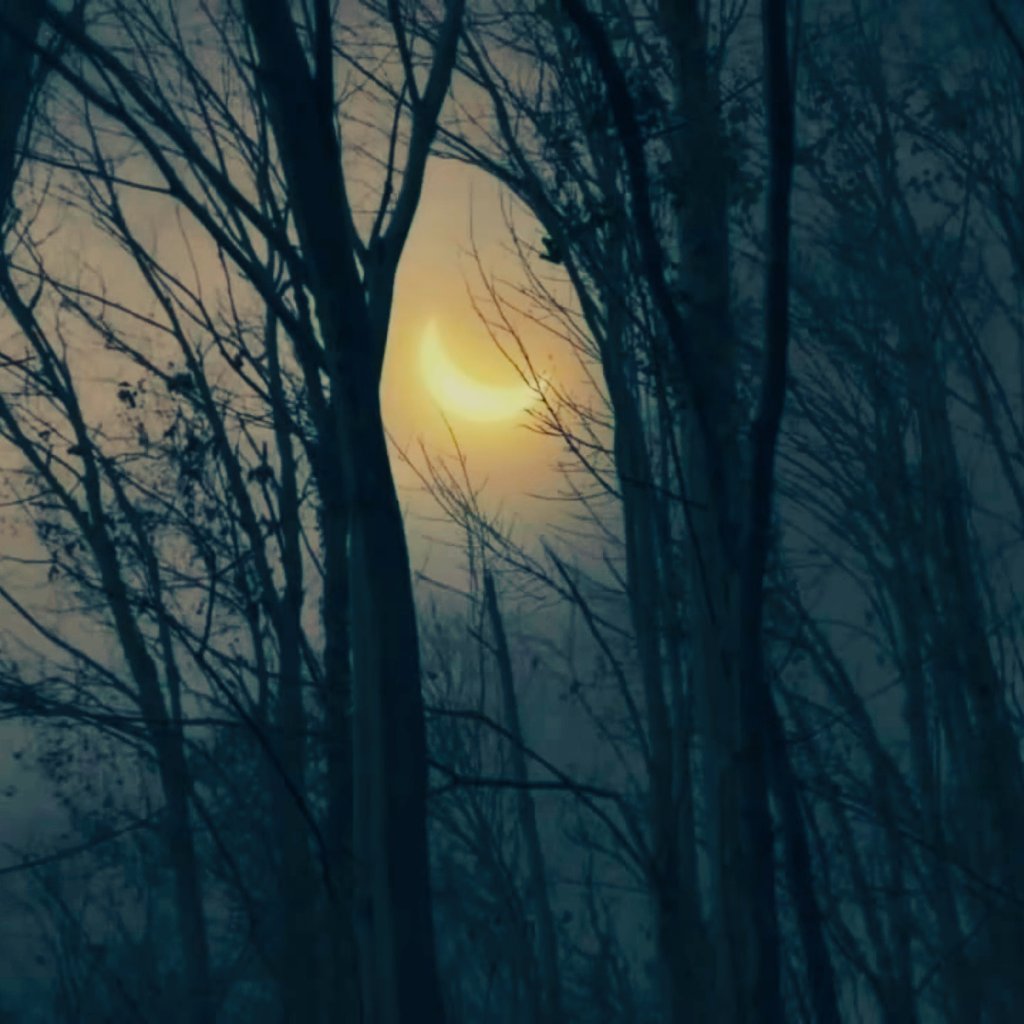 PiniAlvarezG's tweet photo. Momento HT 
#EclipseEnTopkapi https://t.co/y5t8fT1r77