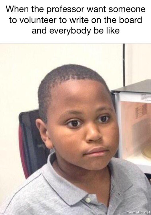 smellltheroses's tweet image. #PRDogs 👀😂