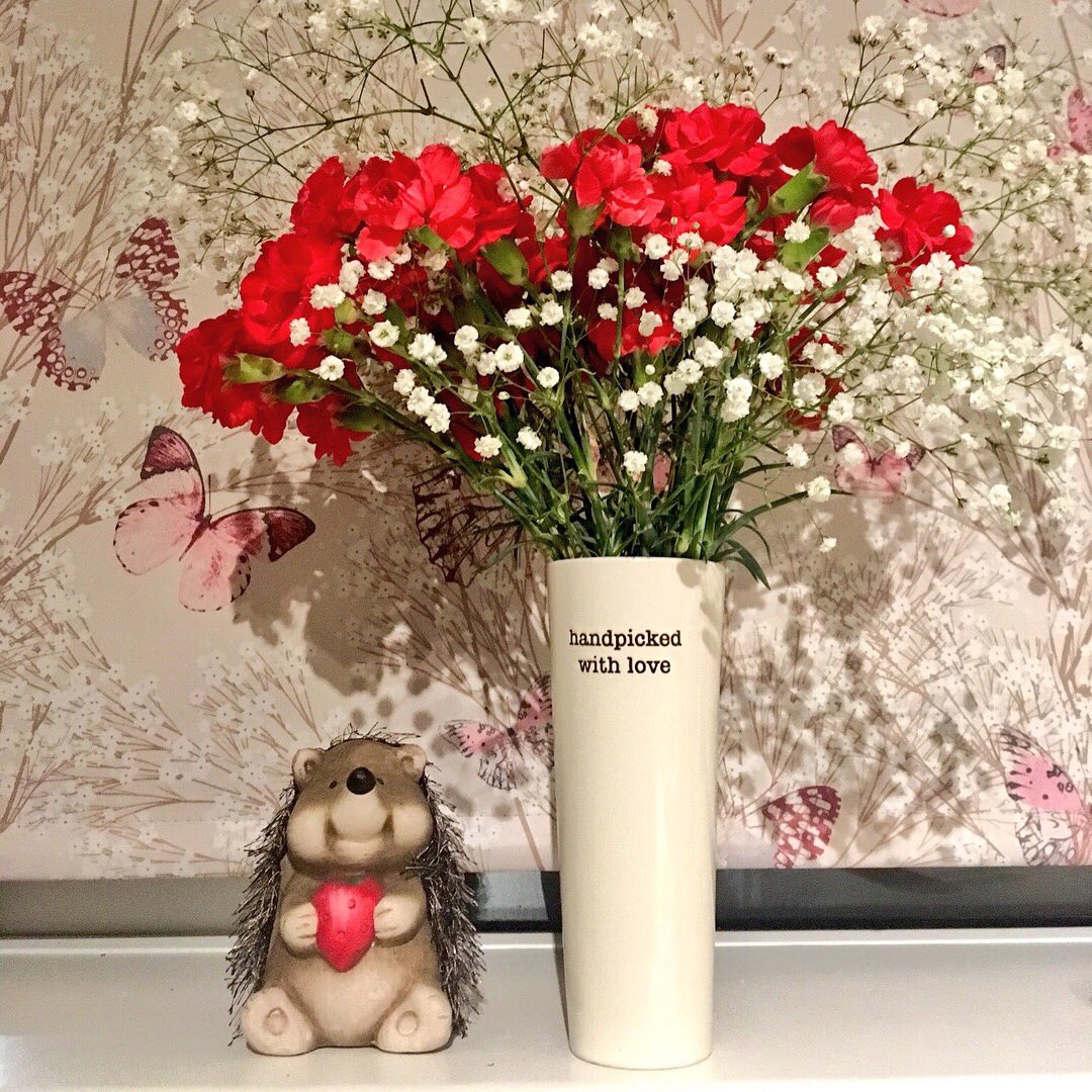 4theloveofhogs's tweet photo. First pic 6 days, Second pic 10 days later #still #blossoming #hedgehogs #hearts #love #flowers #white #red #carnations #happyfeeling #happy #smile #giftfrommetome #frommetomyself πππ https://t.co/sJRgWc2esy