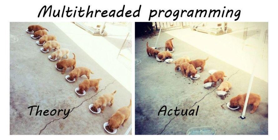 TheDebugLog's tweet image. So. Accurate. It’s cute, but can get messy and a lot to deal with!