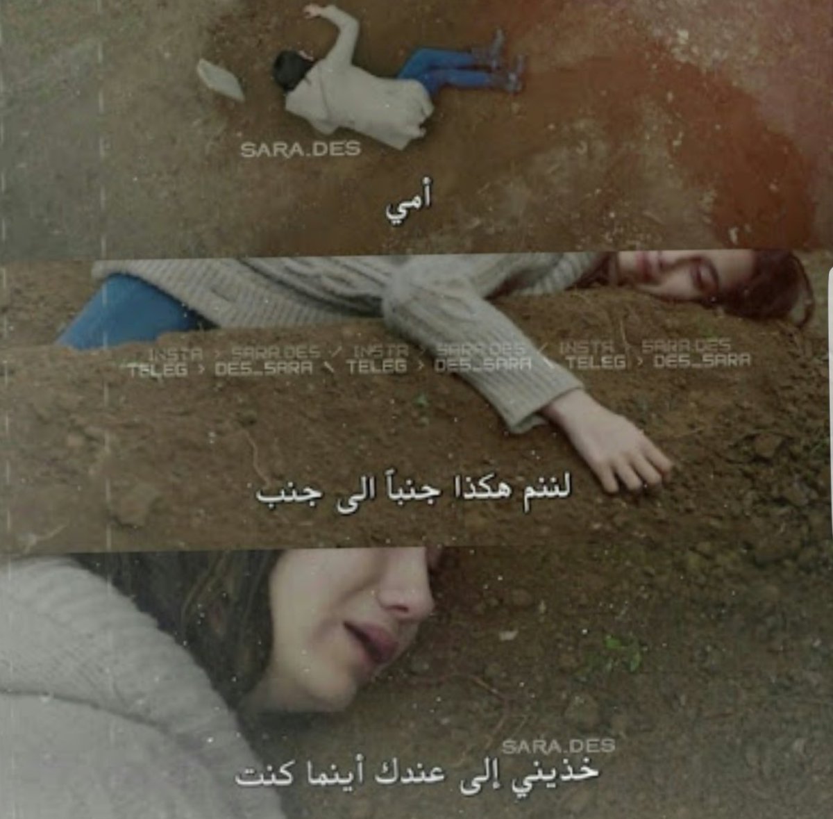 mee_roro's tweet photo. https://t.co/DbB9Q7TFLu