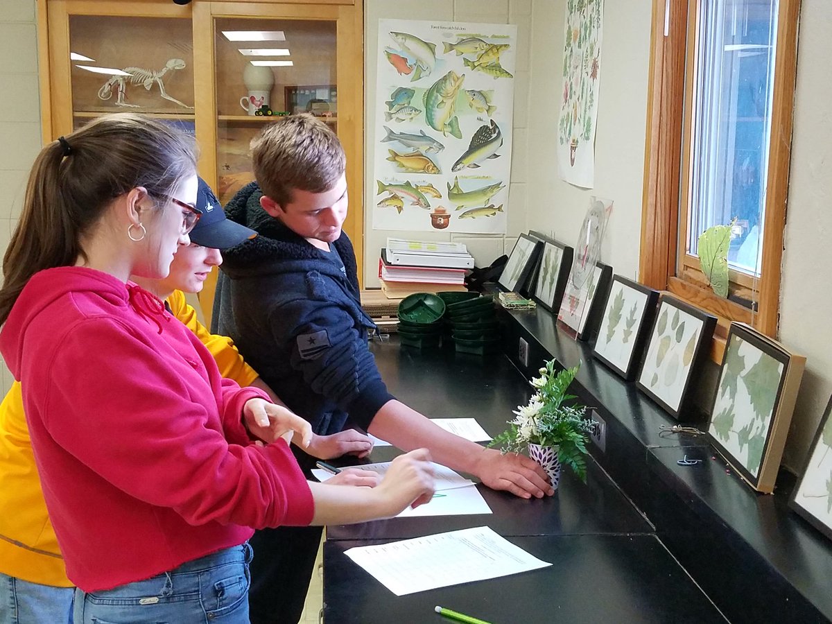 DR_AgEdFFA's tweet photo. Food Sci Ss are still trying to crack the code on gluten in breads; Floral Design Ss are deepening their abilities with critiquing design &amp; providing feedback.  #WarriorWork317 https://t.co/u9pDBCE4IL