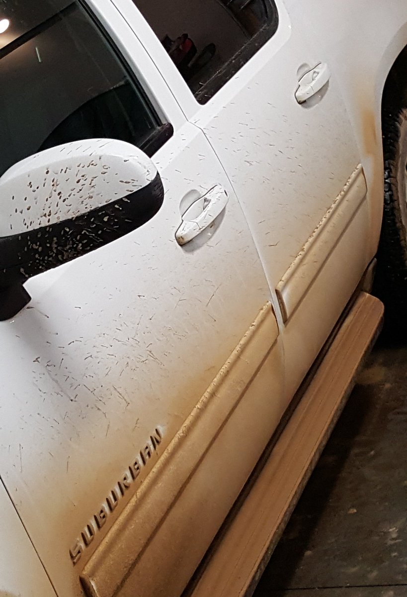 jjbirkholz's tweet image. The signs of spring! #spring #LivingInTheSticks #MudOnTheTires