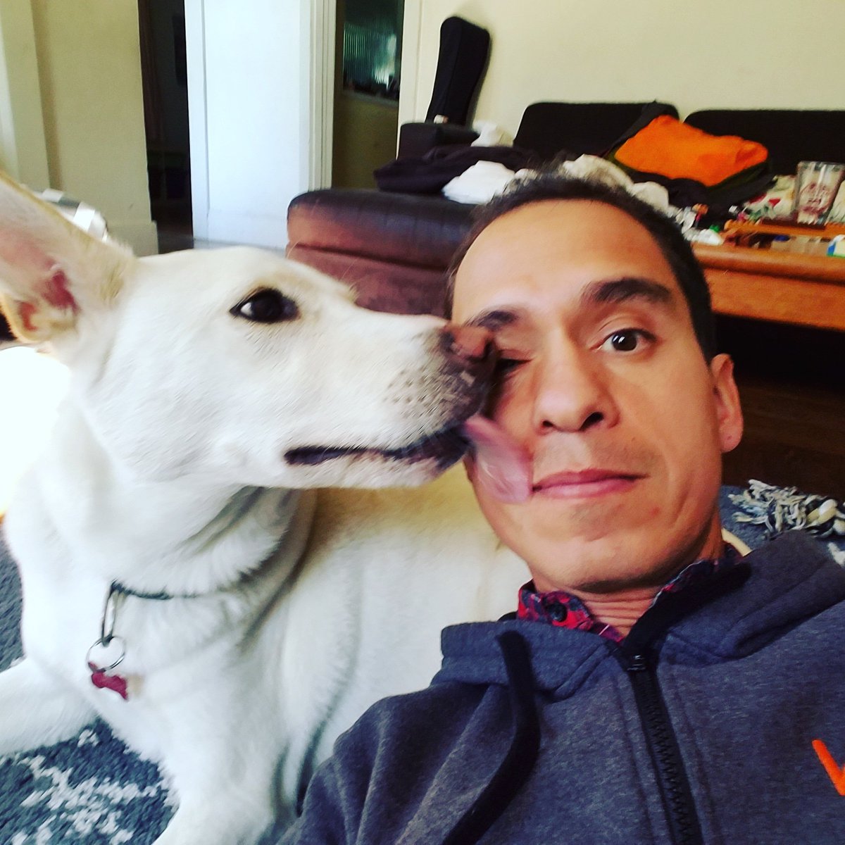 jqsmooth's tweet image. Two years ago today we adopted Fletch from the Auburn dog pound. We weren&apos;t sure how it was going to work out, but it&apos;s safe to say that it&apos;s one of the best decisions we&apos;ve ever made. Chillest dog ever. #jindodog #dogs