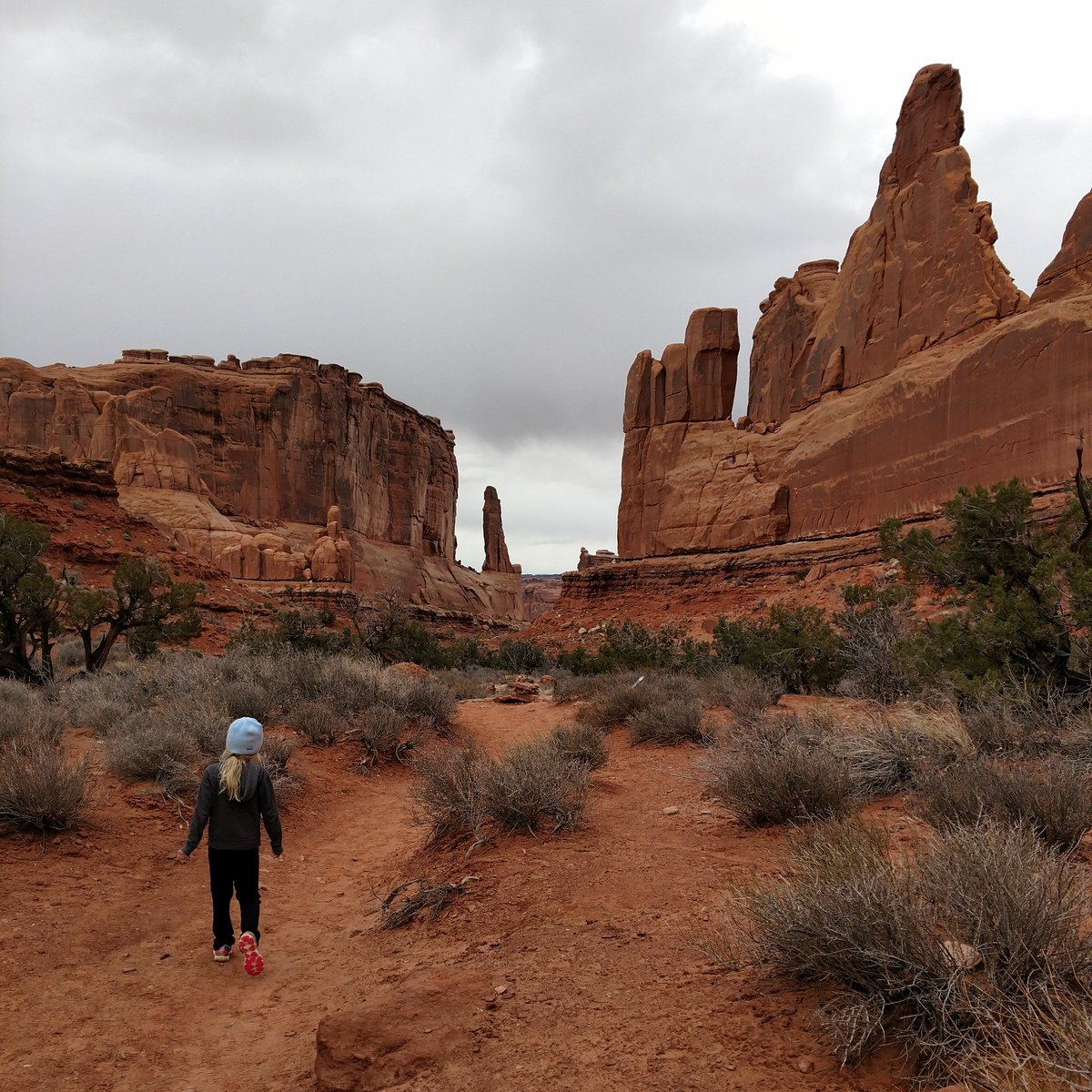 outdoortravella's tweet photo. I felt so small while walking through Park Avenue @ArchesNPS. #nofilter #nofilterneeded #utah #utahdaily #utahexplored #utahoutdoors #outdoors #optoutside #neverstopexploring #peoplewhooutdoor #peoplewhohike #adventurekids #outdoorskids #redrocks #nationalpark #hiking https://t.co/1U8q1YHoJ0