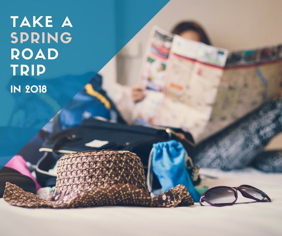 SidDillonCrete's tweet photo. Spring road trip, anyone? 🚗Take advantage of warmer weather and gaze at blooming flowers from your window! ☀️🌷

Where would you like to travel by car? https://t.co/hLC5XcDrIO