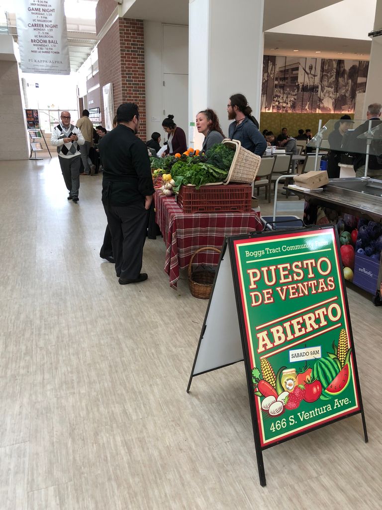 PacGardens's tweet photo. Ready for tomorrow? Join us with Boggs Tract Community Farm for our weekly Farmers Market!
#PacificGardenProgram #FarmersMarket #UoPacific #Stockton #RobbGarden https://t.co/15oYUECOVC