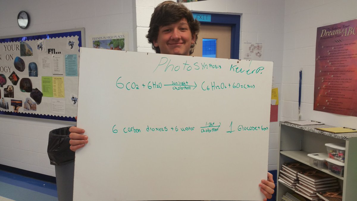 krob5570's tweet photo. Writing the photosynthesis equation in words and symbols in CP Biology. #ahsliteracy https://t.co/Ahe6qxIsmx