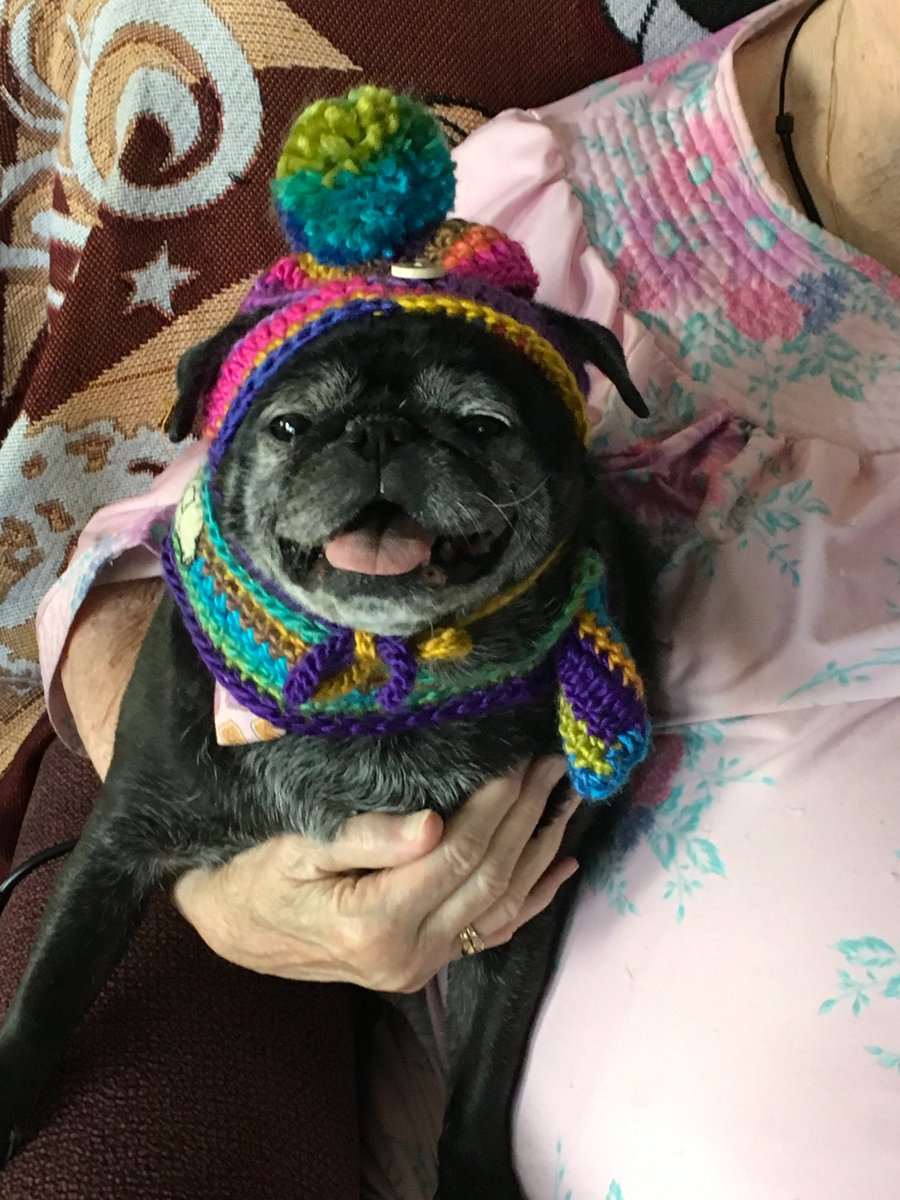 mumesita's tweet photo. @lilaubiegirl #gamenite A2  Button in her #arfscarf https://t.co/ERfaOuDZj8